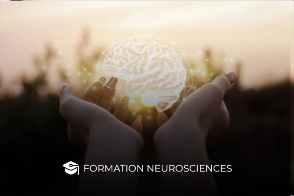 Formation neurosciences